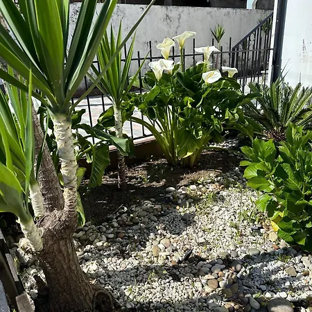 7 House, 2 Kitchens *