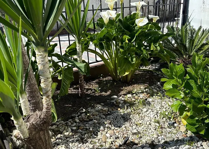 7 House, 2 Kitchens *